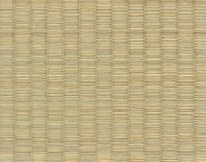 Rattan Texture