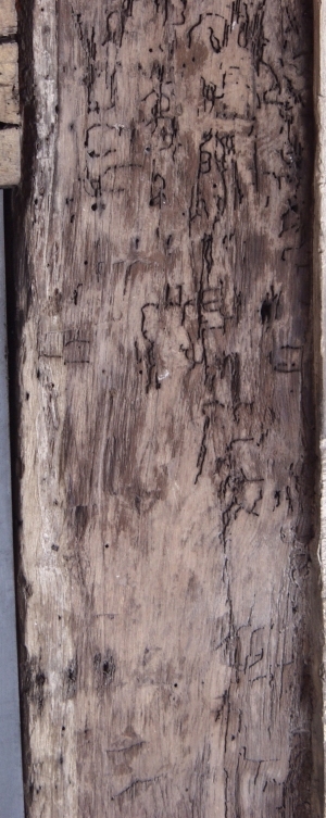 Old Wood Texture