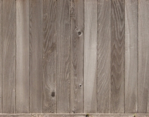 Wood Plank