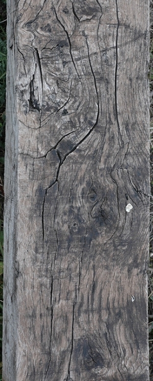 Wood Plank