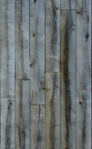 Wood Plank