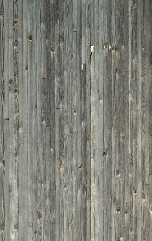 Wood Plank