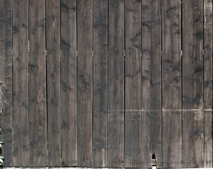 Wood Plank