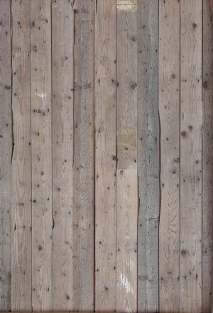 Wood Plank