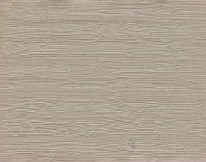 Plywood Texture