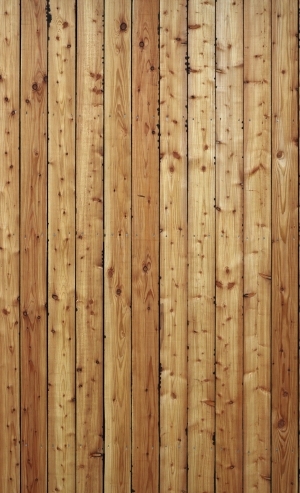 Wood Plank