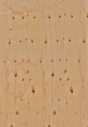 Plywood Texture