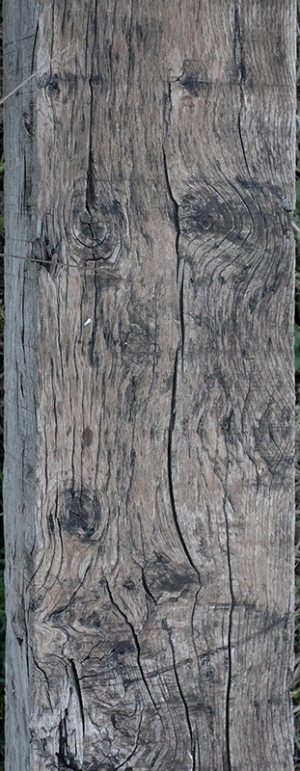 Wood Plank