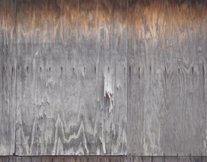 Plywood Texture