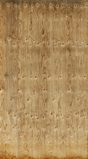 Plywood Texture