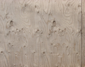 Plywood Texture