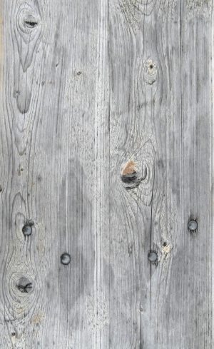 Wood Plank