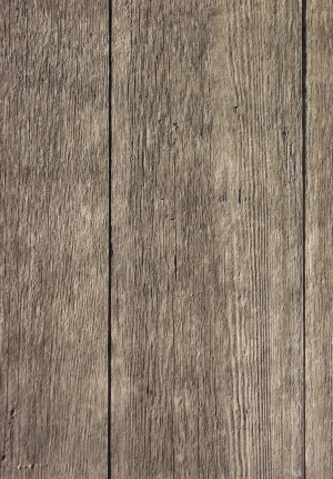 Wood Plank