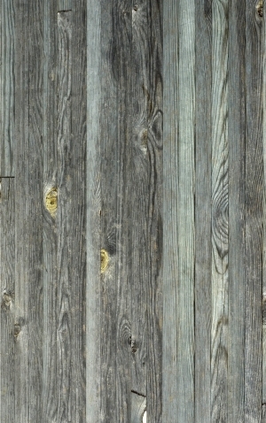 Wood Plank