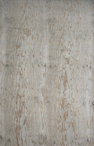 Plywood Texture