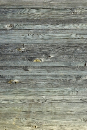 Wood Plank