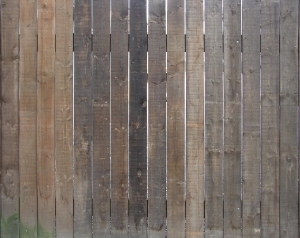 Wood Plank