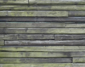 Wood Plank