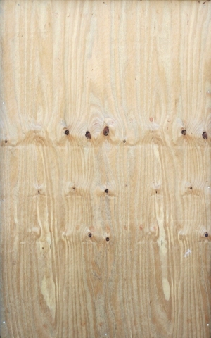 Plywood Texture