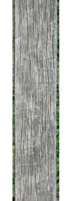 Wood Plank