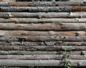 Wood Plank