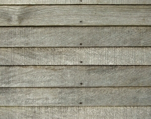 Wood Plank