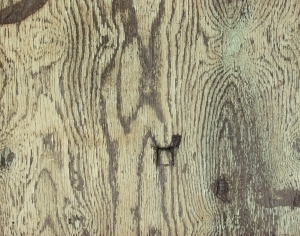 Plywood Texture