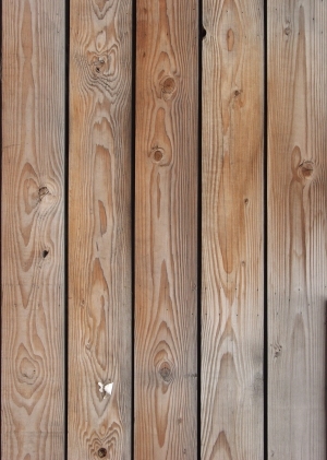 Wood Plank