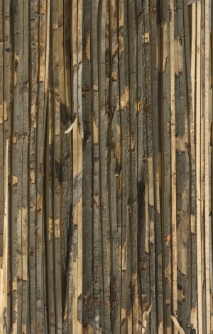 Wood Plank