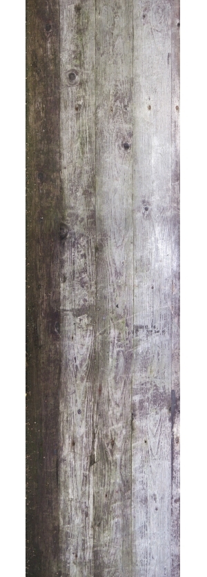 Wood Plank