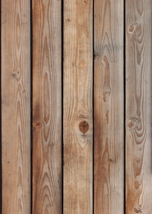 Wood Plank