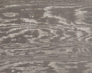 Plywood Texture