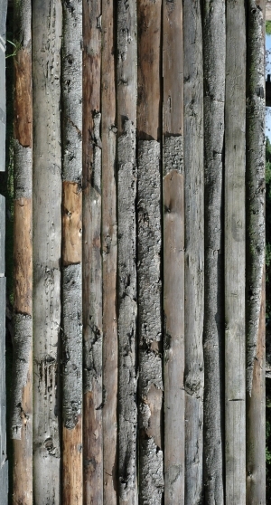 Wood Plank