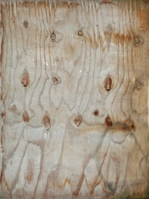 Plywood Texture