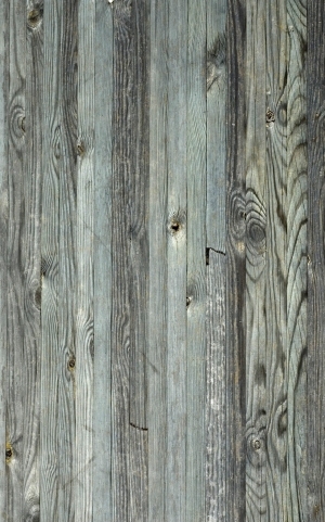 Wood Plank