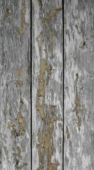 Wood Plank