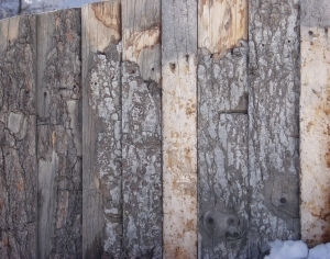 Wood Plank