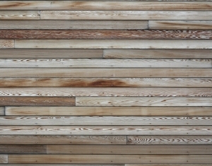 Wood Plank