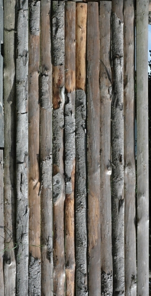 Wood Plank