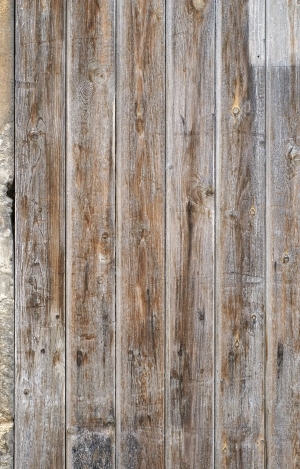 Wood Plank