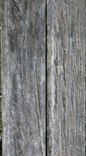 Wood Plank