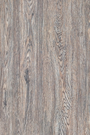 Wood Texture