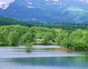 风景-ID:4032536