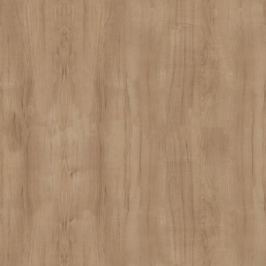 Wood Texture