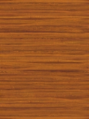 Wood Texture