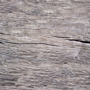 Old Wood Texture