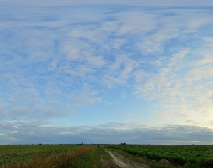  The Sky-ID:524599674
