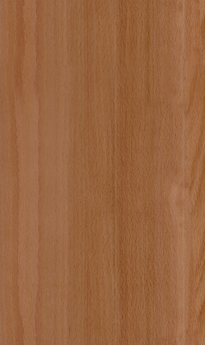 Wood Texture