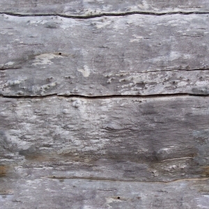 Old Wood Texture