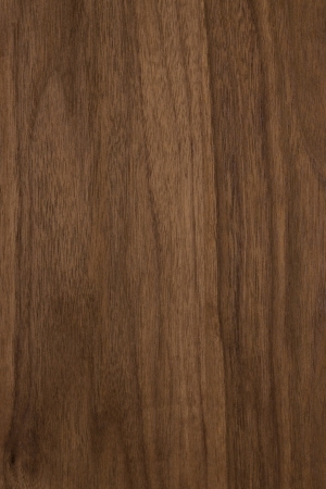 Wood Texture